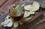 برگ بو به کنترل قندخون کمک می کند